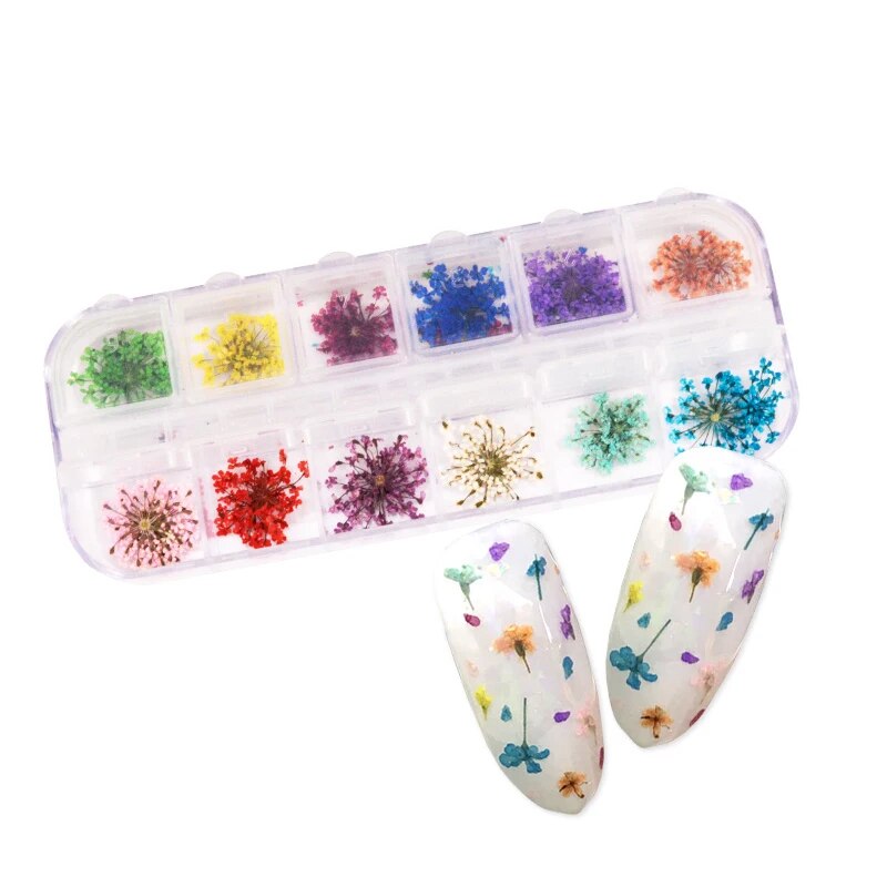 24Pcs 12 Patterns 3D Dry Flowers Stickers Real Dried Flower Nail Art Decoration Tips DIY Manicure Tools with Box