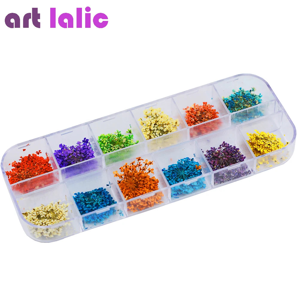 24Pcs 12 Patterns 3D Dry Flowers Stickers Real Dried Flower Nail Art Decoration Tips DIY Manicure Tools with Box