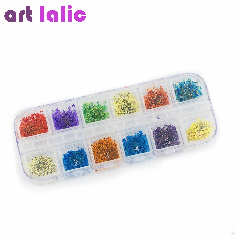 24Pcs 12 Patterns 3D Dry Flowers Stickers Real Dried Flower Nail Art Decoration Tips DIY Manicure Tools with Box