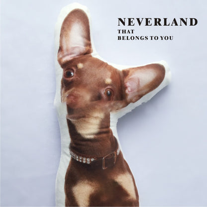 Cute Pet Shaped Pillow Custom To Map Custom DIY Sofa Cushion Car Pillow