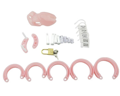Male Chastity Device With 5 size Penis Ring,Cock Cages,Cock Ring,Chastity Lock/Belt,Adult Game,CB6000S