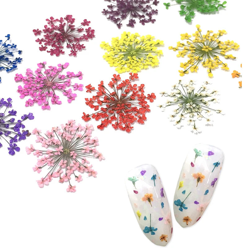 24Pcs 12 Patterns 3D Dry Flowers Stickers Real Dried Flower Nail Art Decoration Tips DIY Manicure Tools with Box